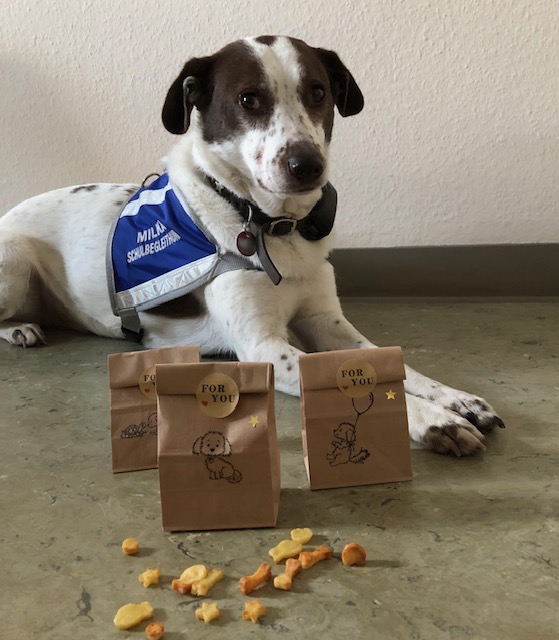 Homepage - Schler backen fr Tierheimhunde Bild.jpg